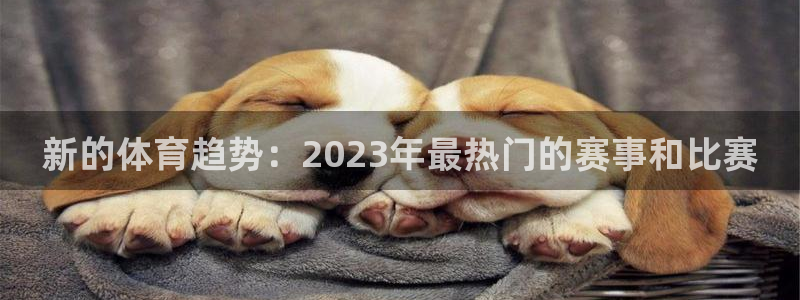 新的体育趋势：2023年最热门的赛事和比赛