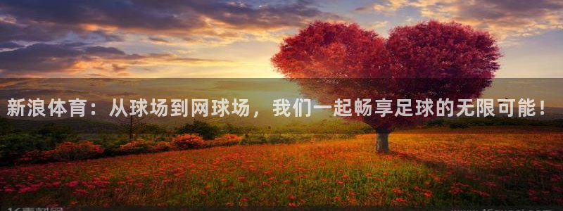 新浪体育：从球场到网球场，我们一起畅享足球的无限可能！