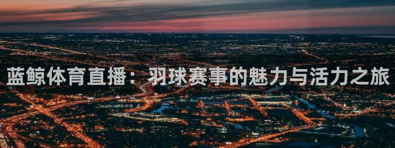 蓝鲸体育直播：羽球赛事的魅力与活力之旅
