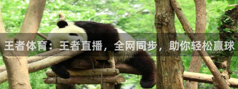 王者体育：王者直播，全网同步，助你轻松赢球