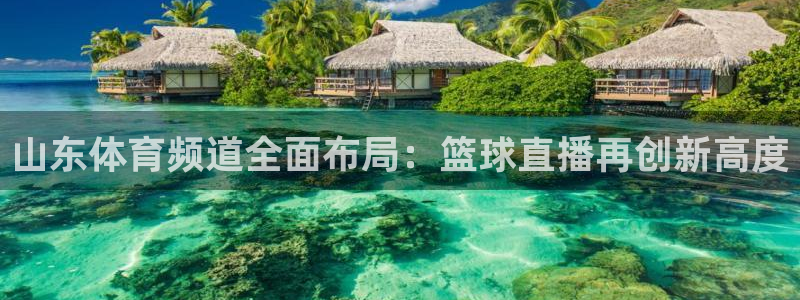 山东体育频道全面布局：篮球直播再创新高度