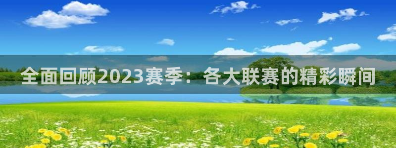 全面回顾2023赛季：各大联赛的精彩瞬间