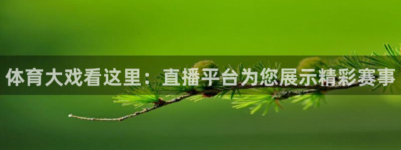 体育大戏看这里：直播平台为您展示精彩赛事