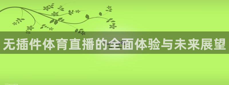 无插件体育直播的全面体验与未来展望