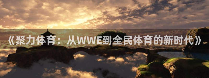 《聚力体育：从WWE到全民体育的新时代》